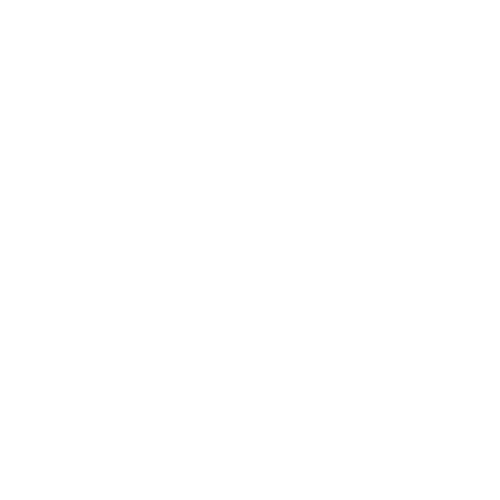 Logo-Limousinenservice-wurzer